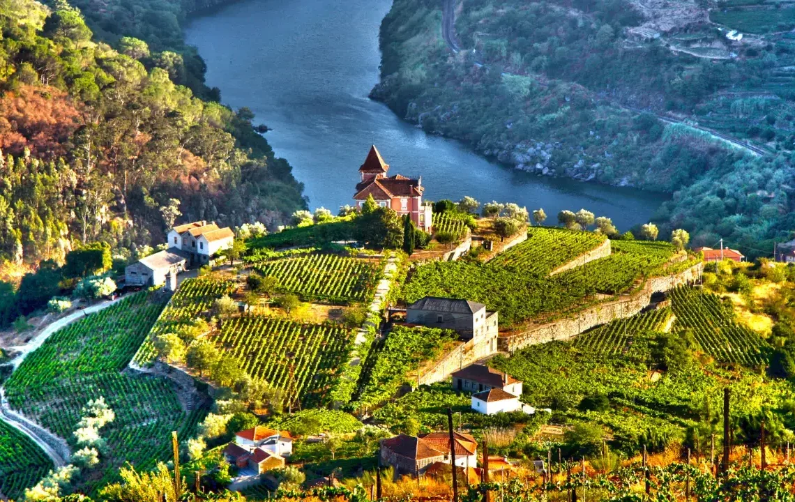 Things to Do in Porto, Portugal