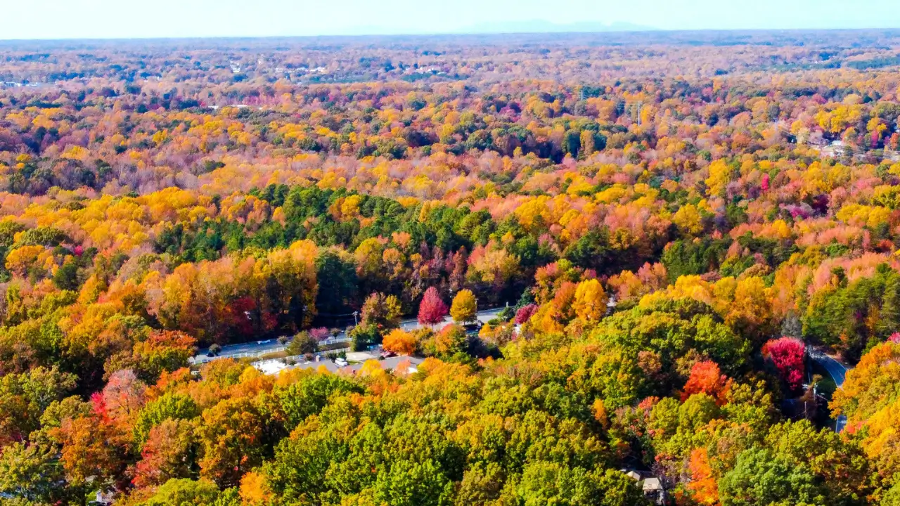 Things to Do in Greensboro, NC