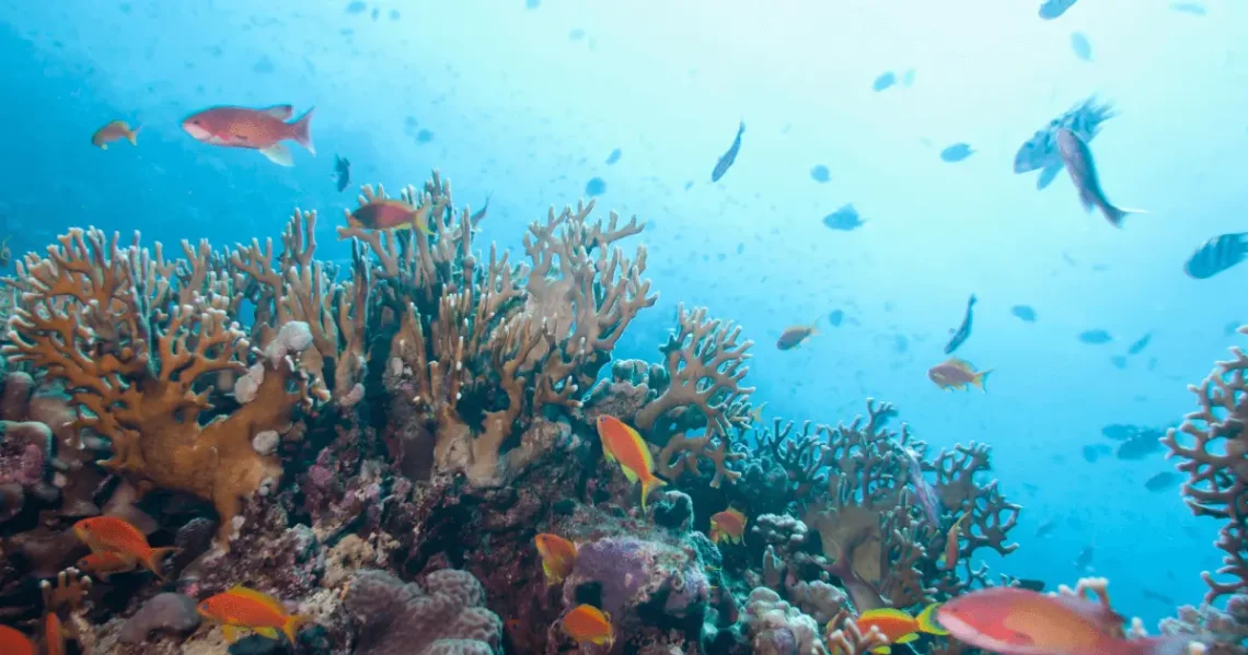 Top 10 Places to Visit in Mexico