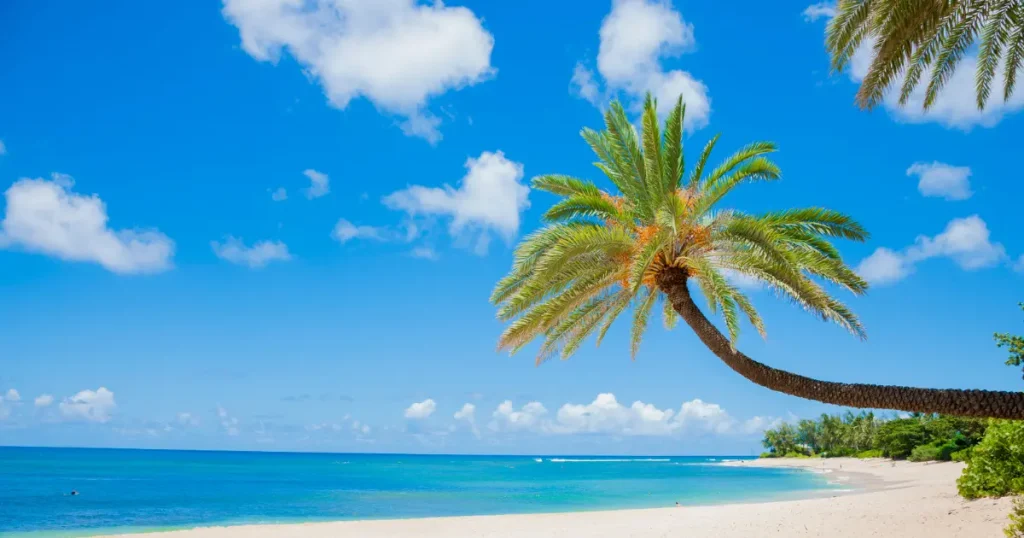 Tunnels Beach