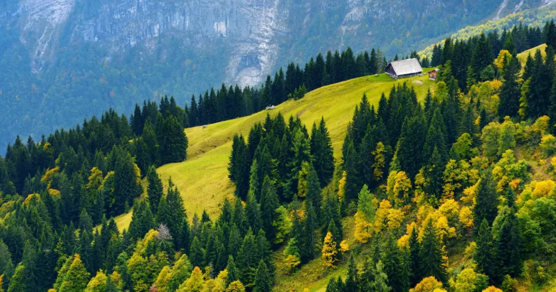 Things to Do in Breckenridge