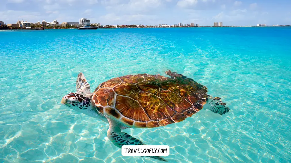 Iztuzu Beach (Turtle Beach)