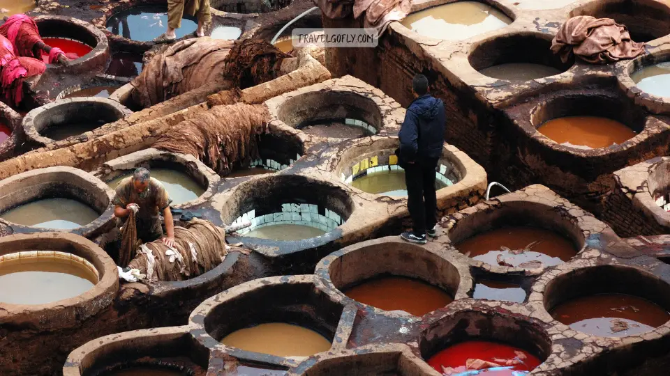 Chouara Tannery
