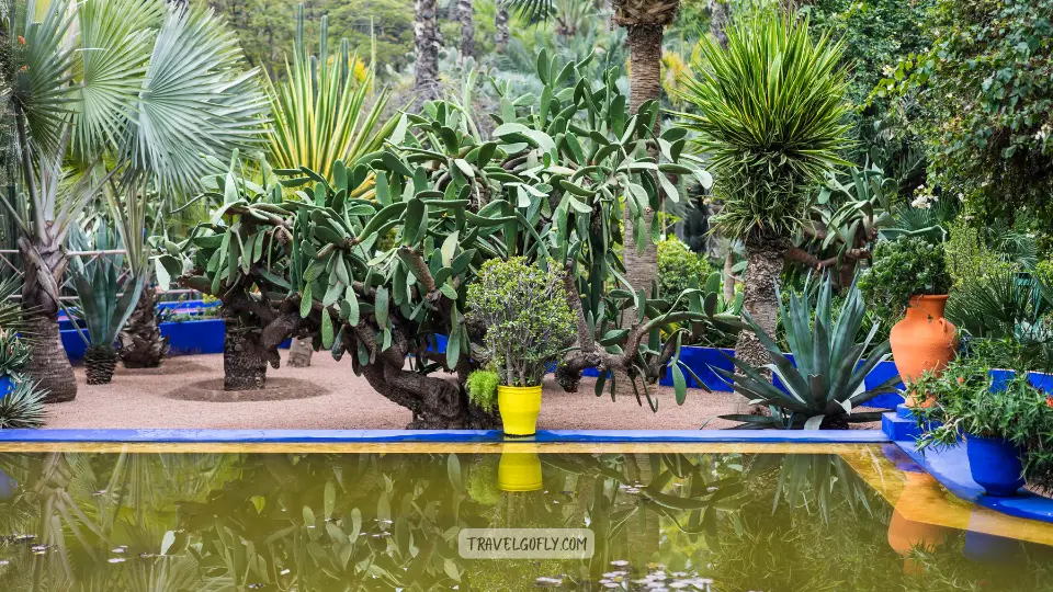 Free Gardens and Parks marrakech