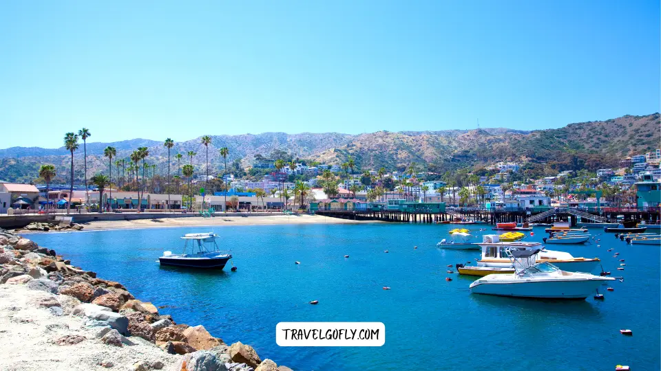 Practical Tips for Catalina Visitors