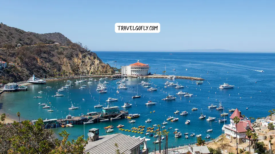 50 Incredible Things To Do In Catalina Island (2025)