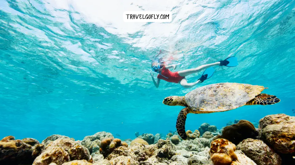 Try Scuba Diving or Snorkelling