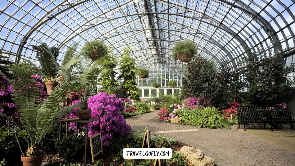 the Conservatory and Botanical Garden