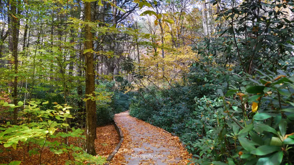 Bridle Trails State Park