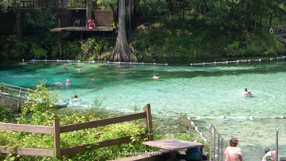 Fanning Springs State Park