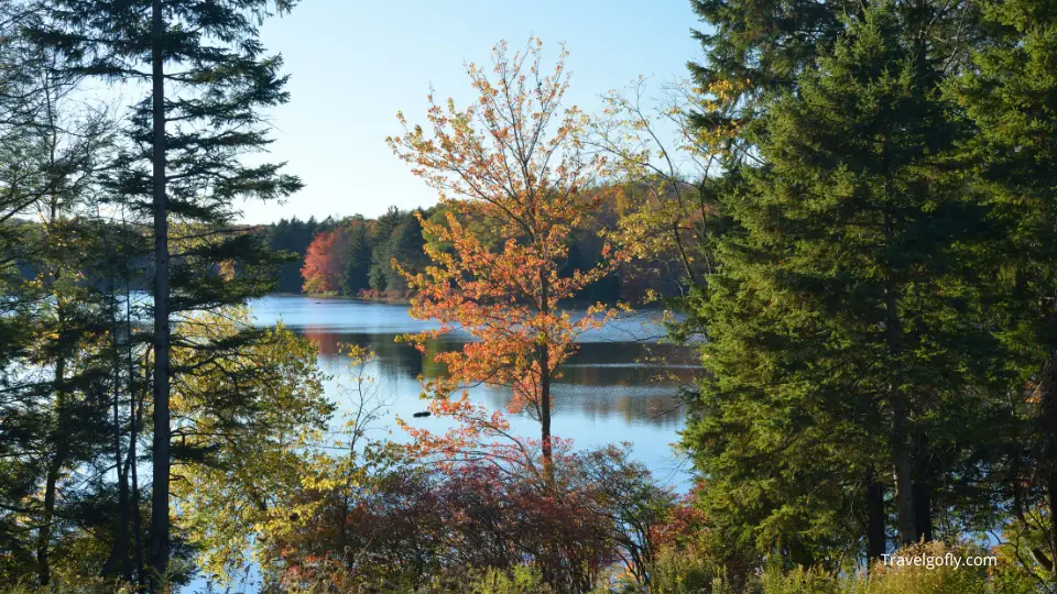 Wild River State Park