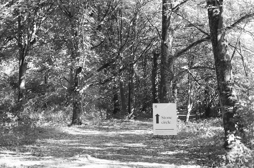 Bridle Trails State Park Historical black and white