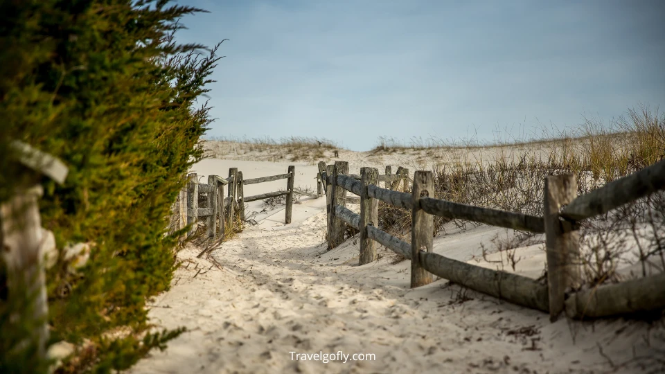 Fenwick Island State Park