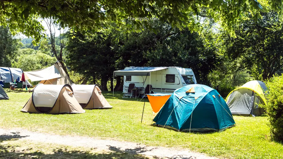 Primitive Camping Along the Suwannee River
