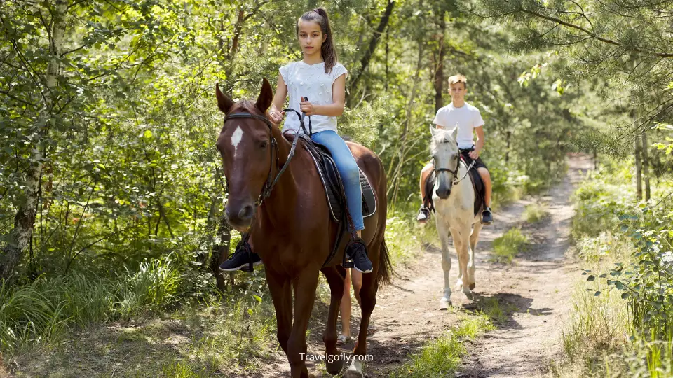 Horseback Riding and Equestrian Activities at Bridle Trails 