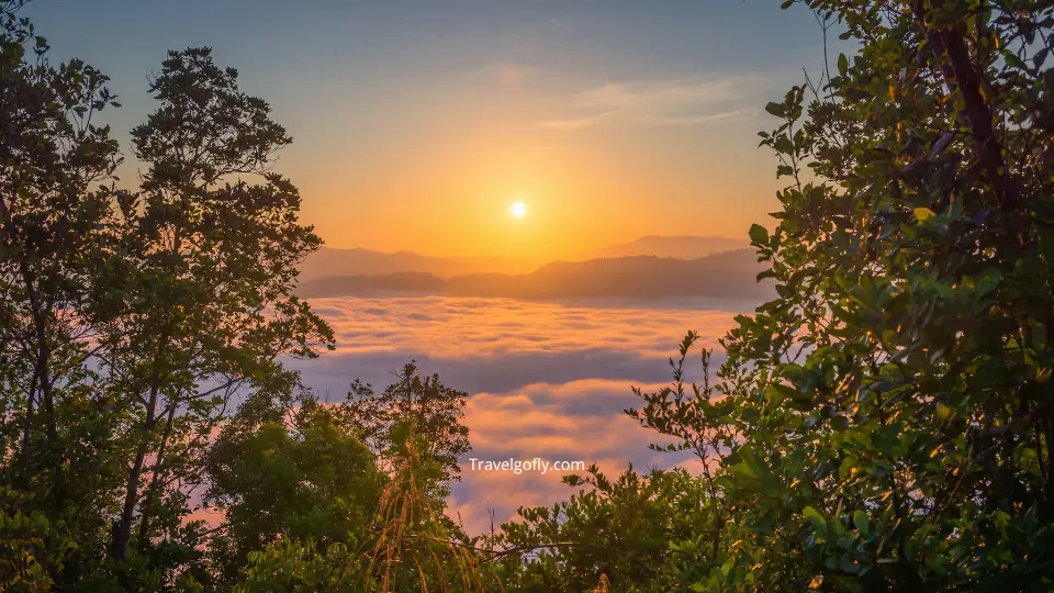 Sunrise over the St. Croix River from Nevers Dam Overlook with morning mist