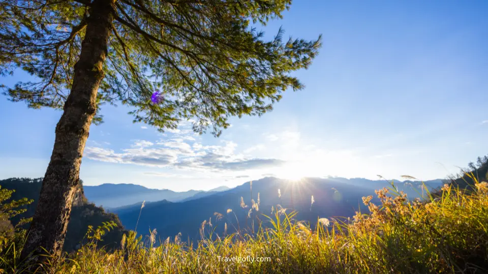 Entry Fees and Passes at Bridle Trails State Park