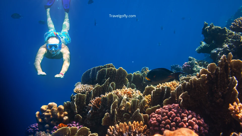 Underwater photo showing snorkelers exploring the spring